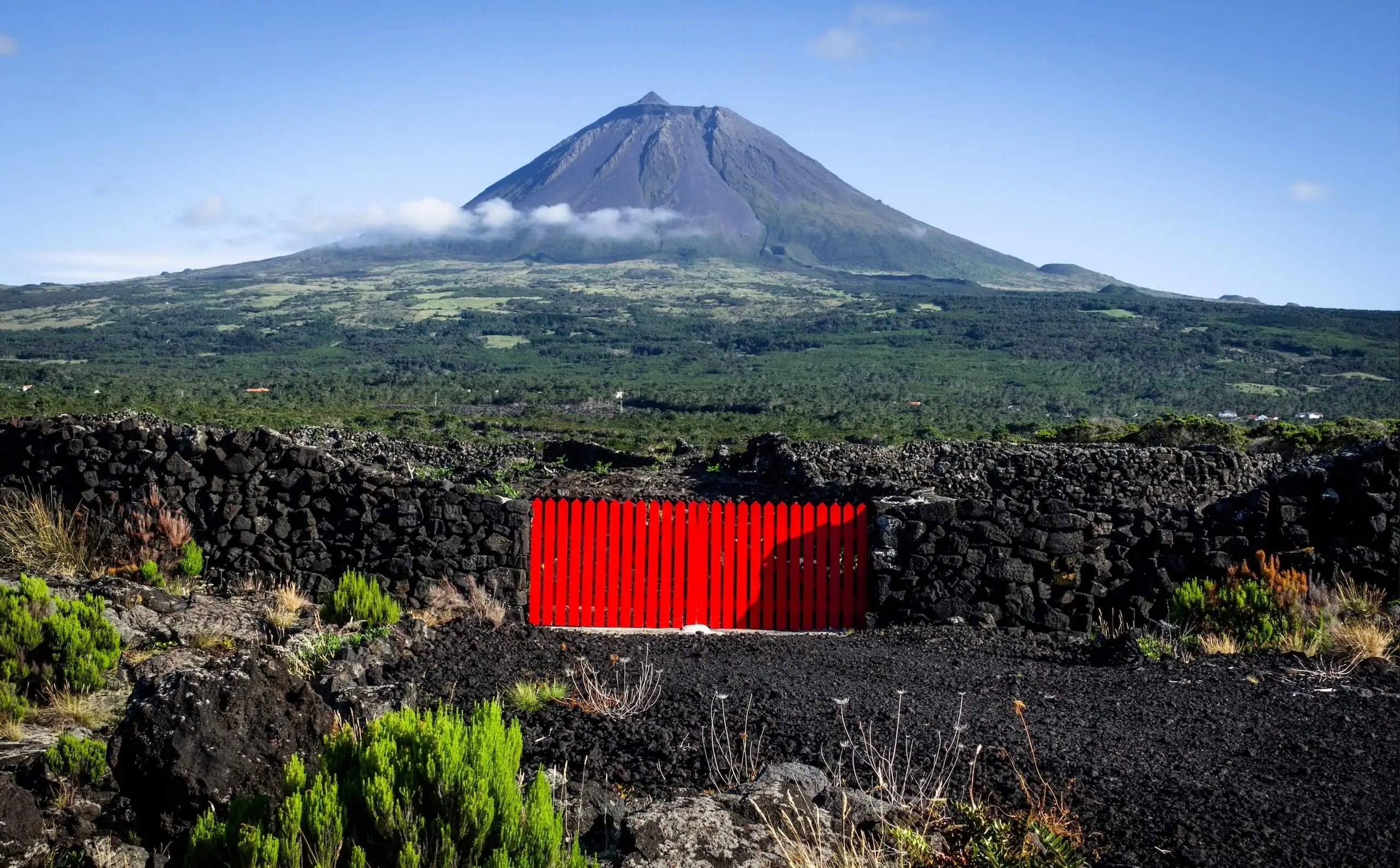 Ilha do Pico