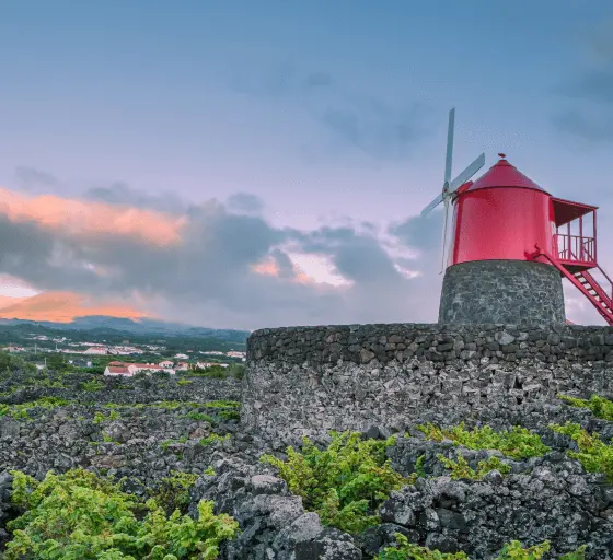 Ilha do Pico